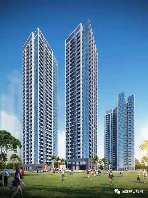 深圳非居住房地产租赁市场最新动态 售楼处联系方式与租赁详情解析