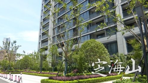 房票政策与物业管理 一场权益的转移与责任的衔接